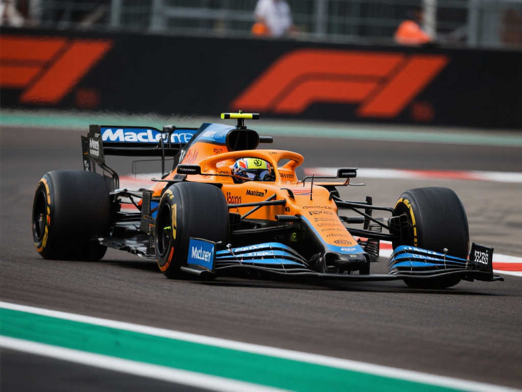 家队的一员 家队的一员